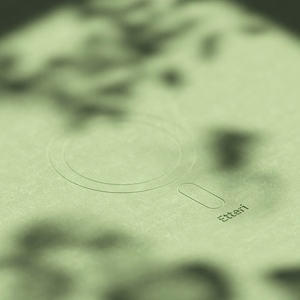 Etteri Silicone Mag ümbris iPhone 16 6,1" heleroheline