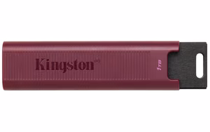 USB mälupulk KINGSTON DataTraveler Max 1TB USB 3.2