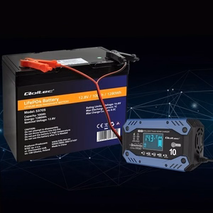 Qoltec 52482 sõiduki akulaadija 12/24 V must, sinine