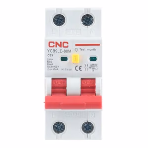 Residual Current Breaker koos Over-Current, 2P, 63A, class C, 30mA, 6kA