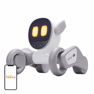 Loona Premium interaktiivne robot
