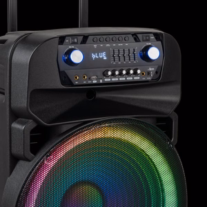 60 W aktiivkõlar 2 juhtmevaba UHF-mikrofoni, SD, Bluetoothi, FM-i, USB ja LED-iga