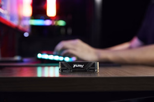 Kingston Technology 1T FURY RENEGADE G5 M.2 2280 NVMe SSD