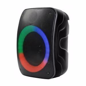 Rebeltec Bluetooth колонка STAGE 300 черный