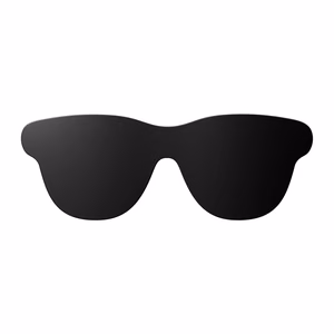 Lens shade RayNeo GT