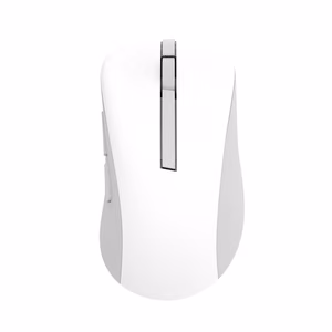 Asus MD102 juhtmevaba optiline hiir, valge