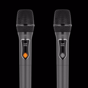 60 W aktiivkõlar 2 juhtmevaba UHF-mikrofoni, SD, Bluetoothi, FM-i, USB ja LED-iga