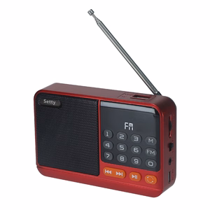 Setty mini FM radio + Bluetooth speaker SFM-01M
