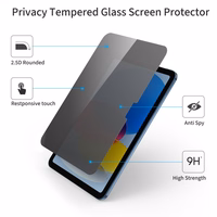Tech-Protect Glass Spy+ Privaatsus Glass jaoks iPad 10.9” 2022 / iPad 11” 2025