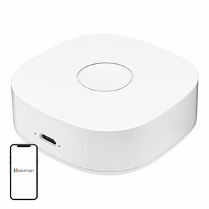 Nutikas home WS2GW-R WiFi