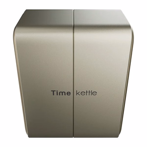 TimeKettle W4 Plus TWS tõlkekõrvaklapid, kuldsed