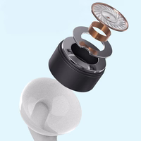 Dudao X3 Wired USB-C In-Ear Kõrvaklapid - valge