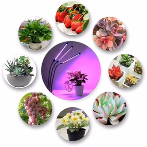 LED lamp jaoks growing plants Reach 3X