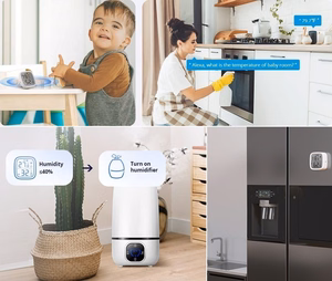 SONOFF Zigbee LCD умный датчик температуры и влажности