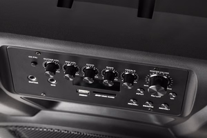 Aktiivkõlar 2 juhtmeta UHF-mikrofoniga, SD, Bluetooth, FM, USB, 60 W