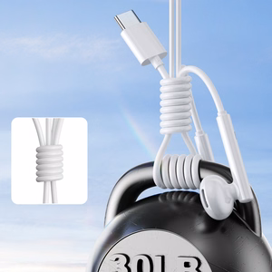 Joyroom JR-EC05 USB-C in-ear headphones - valge