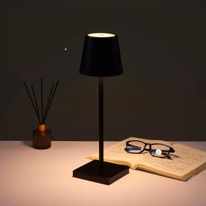 Night lamp WDL-02 wireless brown