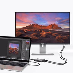 Choetech plug adapter USB Type C Thunderbolt 3 (40Gbps) - 2x DisplayPort 4K 60Hz must (HUB-D03)