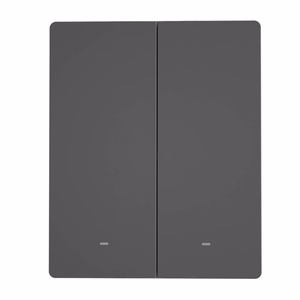 Nutikas WiFi seina lüliti SONOFF M5-2C-80 (2-channel, jaoks raam, graphite)