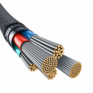 Baseus Unbreakable USB C to iP cable 2 m 20 W must