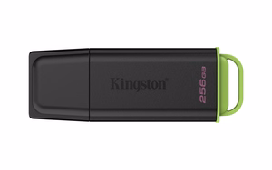 Kingston 256GB kaasaskantav USB 3.2 must/roheline