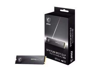 MSI SPATIUM M571 DLP PCIe 5.0 NVMe M.2 4TB sisemine SSD 3D NAND