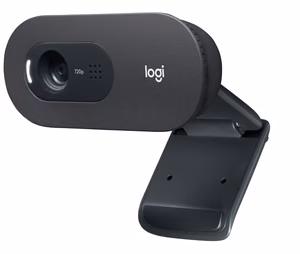 Logitech C505 veebikaamera 1280 x 720 px USB must