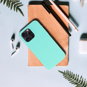 Silicone Lite Ümbris jaoks Iphone 11 Pro mint