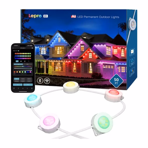 Lepro E1-30 õuevalgusti