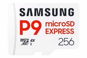 Micro SDXC mälukaart SAMSUNG Express 256GB