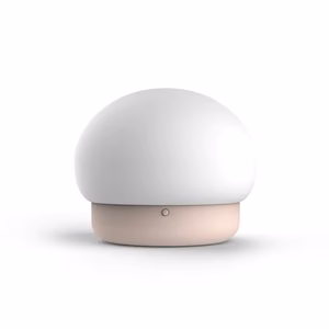 Night lamp W-008 Mushroom roosa