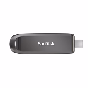 USB-C mälupulk SANDISK 512GB