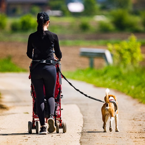 Wozinsky WPST-01 puusavöö kotikese ja elastse jalutusrihmaga koeraga jooksmiseks - must
