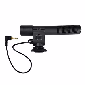 Mikrofon videokaameratele