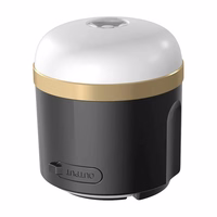 EcoFlow camping valgus (N).