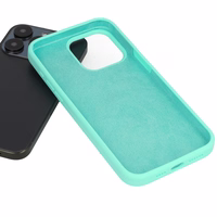 Silicone Lite Ümbris jaoks Iphone 13 Pro Max mint