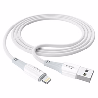 Kaabel USB A to Lightning Hoco 2,4A 1 m X70 valge