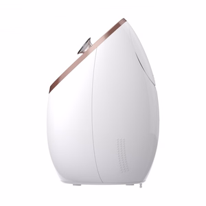 Medisana DS 600 nanoiooniline näoauruti