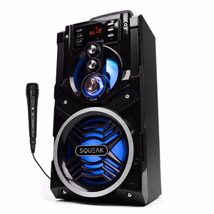 BeatBoxer Bluetooth 5.1 kõlar - Bluetooth kõlar karaokefunktsiooniga