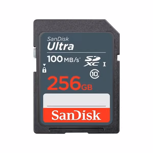 Карта памяти SanDisk SDSDUNR-256G-GN3IN SDXC, 256 ГБ, UHS-I