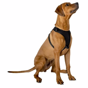 Dog harness, 67.6 × 106.5 cm, size L, Black