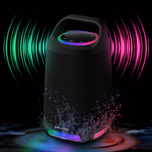Blavec Portable Bluetooth Speaker TWS WS-01 Karaoke - 160W with microphone (WS01-MB) black (damaged packaging)