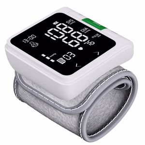 Blood Pressure Monitors