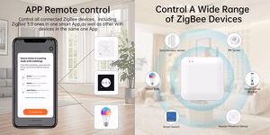 TUYA mitmerežiimiline lüüs, ZigBee, Wi-Fi, Bluetooth