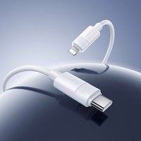 Borofone kaabel BX123 Leya - C-tüüpi piksekaabel - PD 30W 1 meeter valge