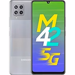 Galaxy M42