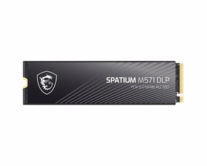 MSI SPATIUM M571 DLP PCIe 5.0 NVMe M.2 4TB sisemine SSD 3D NAND