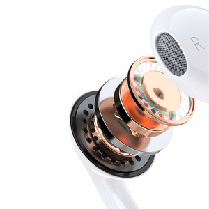 Dudao kõrvasisene kõrvaklapid koos USB tüüp-C connector valge (X14PROT)
