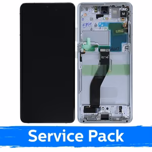 LCD Ekraan Ühildub Samsung G998 S21 Ultra Koos Frame / Phantom Hõbedane / (Service Pack)