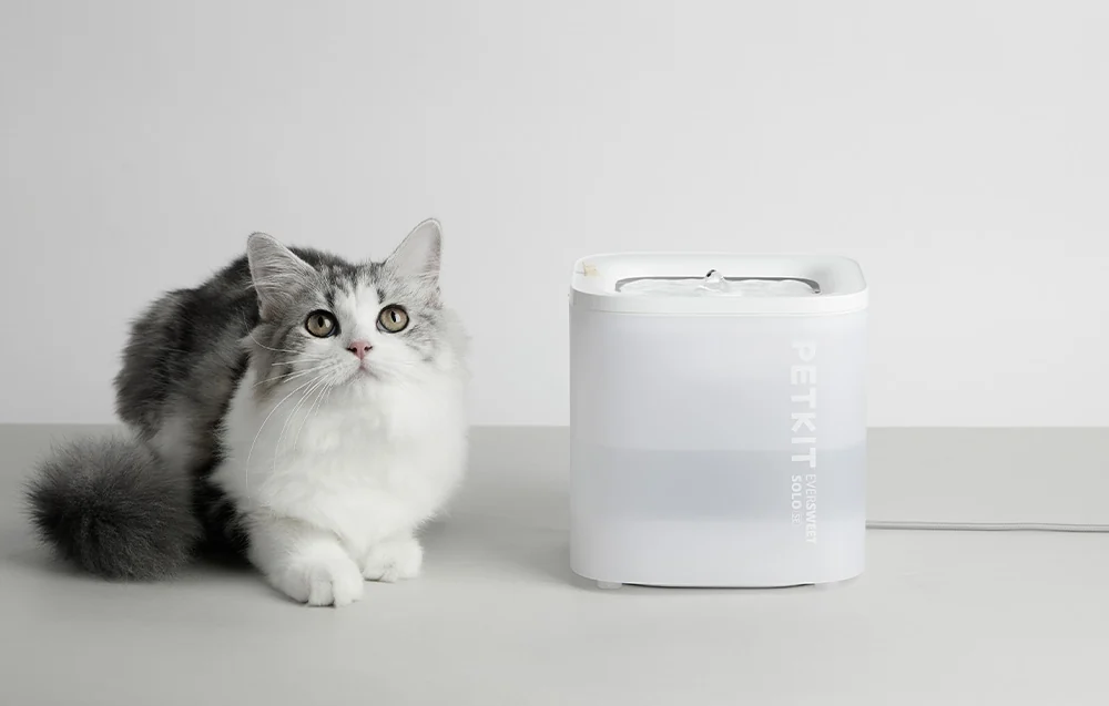 Fountain/ drinker for Dog and Cat PetKit Eversweet SOLO SE